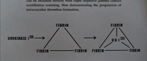What does it all mean? And is any of it true? A scientific journal article from The Andromeda Strain