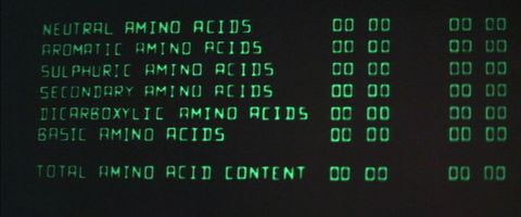 Amino acids: you don't see that mentioned much and the audience expected to understand