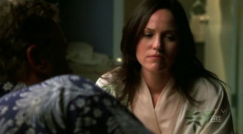 The finale of CSI