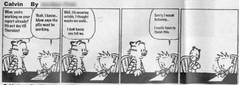 Calvin and Hobbes